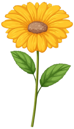 Decorative sunflower